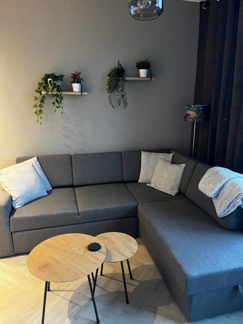 ‘T Singeltje Apartment in Leiden