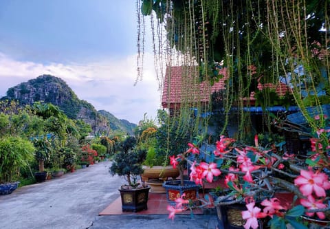 Spring, Day, Natural landscape, Garden, Garden, Garden view, Mountain view