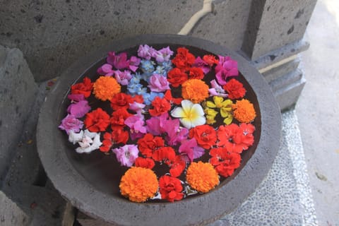 Agung Krotok Indah Villa Villa in Abang