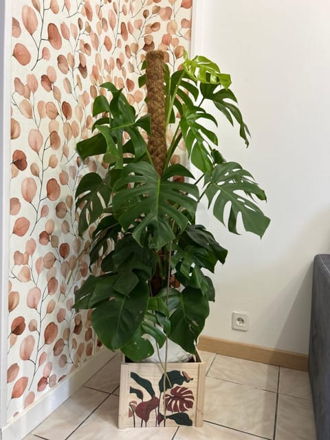 Home Lyla Apartment in Dijon