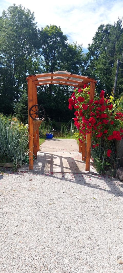 Spring, Garden, Garden view