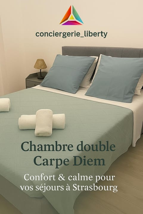 Carpe diem Apartment in Strasbourg