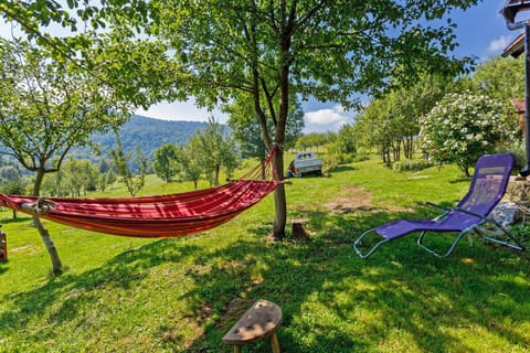 Andrea in Sertić Poljana - Haus für 6 Personen House in Plitvice Lakes Park
