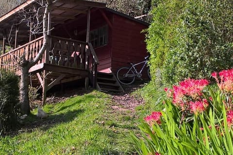 Surfers and walkers cosy camping cabin Cabin in Woolacombe