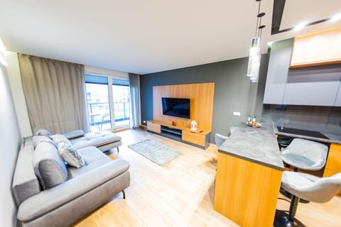 TV and multimedia, Kitchen or kitchenette, Living room, Seating area