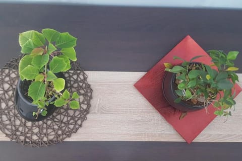 Two bedroom modern apartment Apartment in Decentralized Administration of Macedonia and Thrace