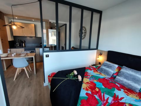 Magnifique 3 étoiles en hyper centre avec place privée Apartment in Aix-les-Bains