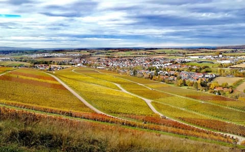 Natural landscape