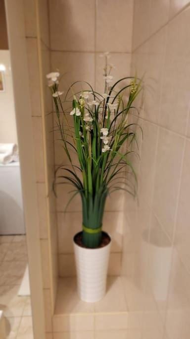 Cozy modern Apartment SUNRISE studio 35m2 balcony 3 persons Apartment in Krakow