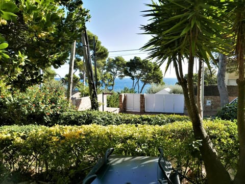 Day, Garden, Garden view, Sea view