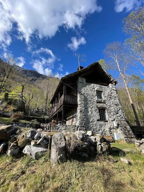 Property view