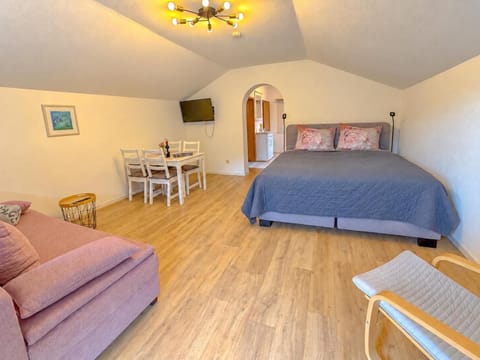 Bed, TV and multimedia, Living room, Photo of the whole room, Seating area, Bedroom