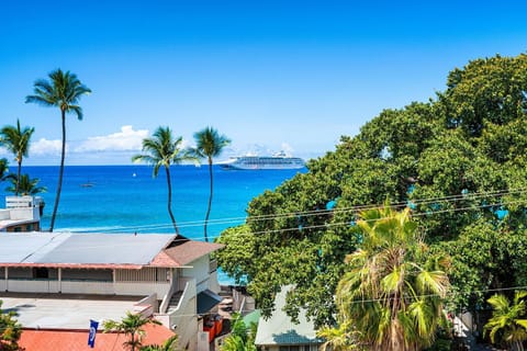 Kona Plaza#202 House in Holualoa