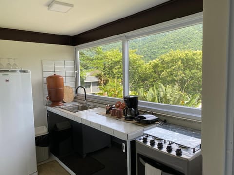 Kitchen or kitchenette, Mountain view, pet friendly, stove