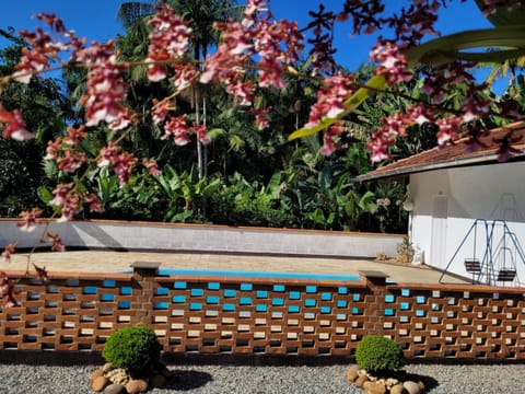 Day, Garden, Garden view, Pool view, Swimming pool