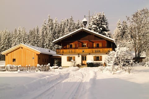 Property building, Winter