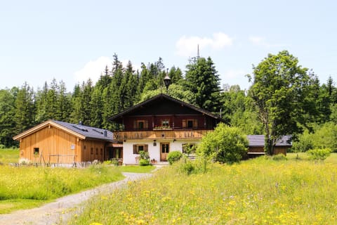 Property building, Summer