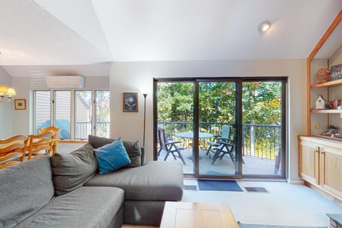 Deere Run 3B House in Quechee