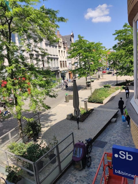 Day, Neighbourhood, Street view