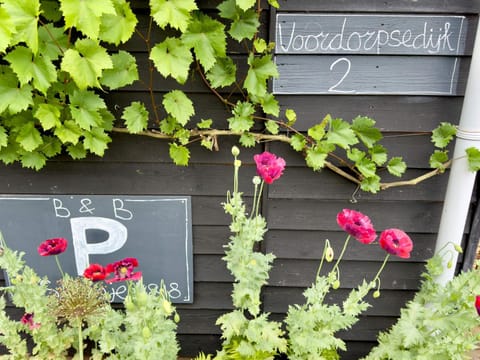 Quiet street view, Parking