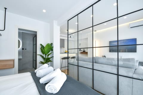 Bed, TV and multimedia, Living room, Photo of the whole room, Bedroom, towels, air conditioner
