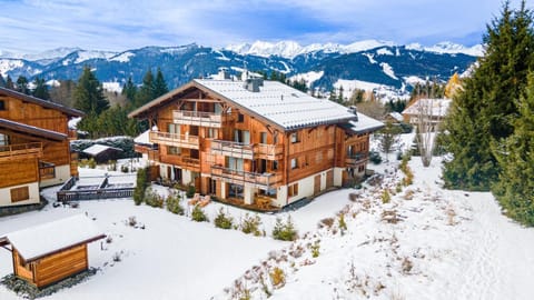 Property building, Nearby landmark, Day, Natural landscape, Winter, Mountain view