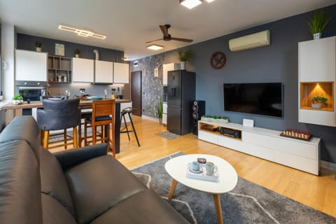 Communal lounge/ TV room, TV and multimedia, Kitchen or kitchenette, Living room, Seating area, Dining area, fireplace, air conditioner