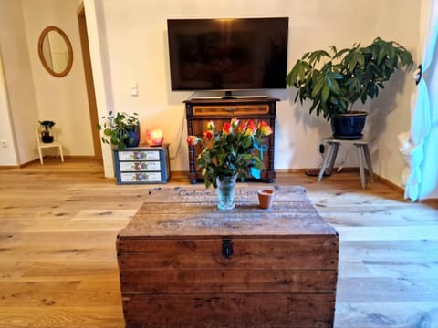 Communal lounge/ TV room, TV and multimedia, Evening entertainment