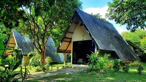 Property building, Garden view
