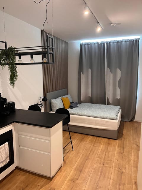 Bed, Kitchen or kitchenette, Living room, Photo of the whole room, Seating area, Bedroom
