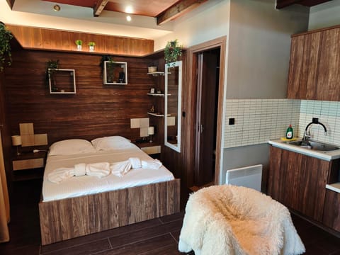 Under the rocks Apartment in Kalabaka