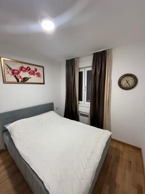 Apartman Suncani bregovi Apartment in Zlatibor