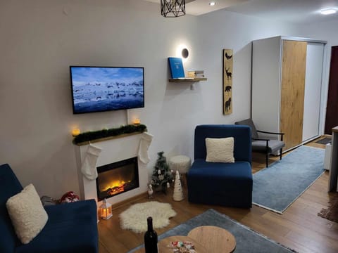TV and multimedia, Living room, flat iron, wardrobe