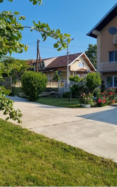 Spring, Day, Neighbourhood, Natural landscape, Garden, Garden view, Street view