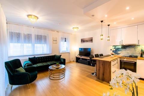 TV and multimedia, Kitchen or kitchenette, Living room, Seating area, Dining area, Family, heating, internet, oven, stove