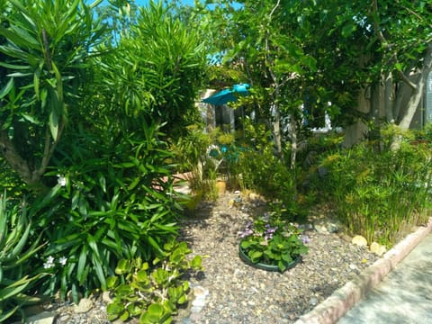 Natural landscape, Garden, Garden view