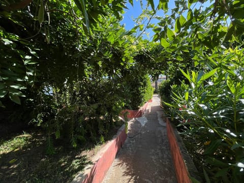 Day, Natural landscape, Garden, Garden view