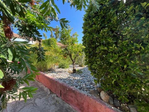 Day, Garden, Garden view