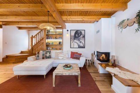 Library, Living room, Decorative detail, Seating area, fireplace, heating