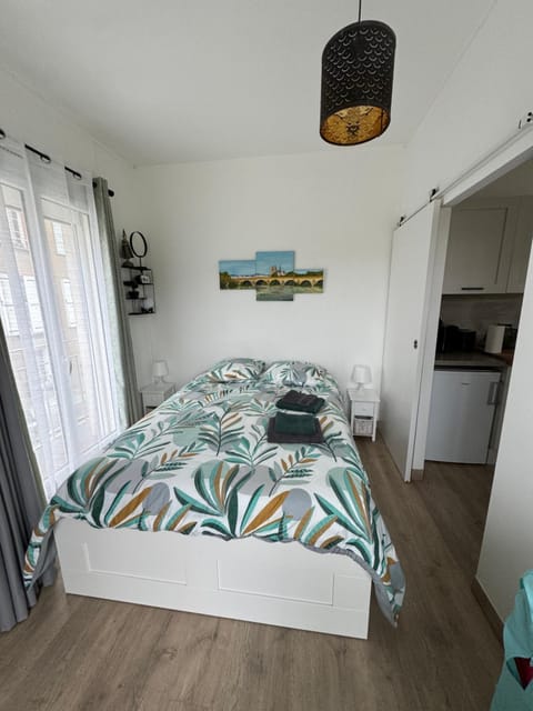 Cosy Loire, T2 neuf, front de Loire ,vue cathédrale,5min à pied centre ville et parking privé Apartment in Orléans