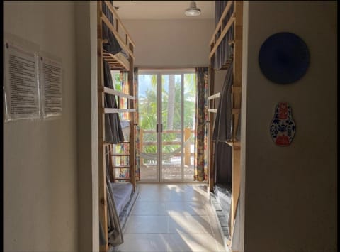 La Palmera Hostel Hostel in Brisas de Zicatela