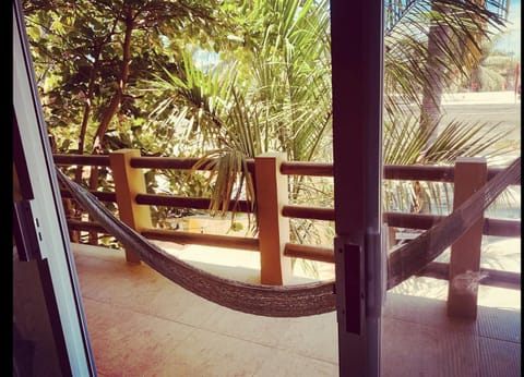 La Palmera Hostel Hostel in Brisas de Zicatela