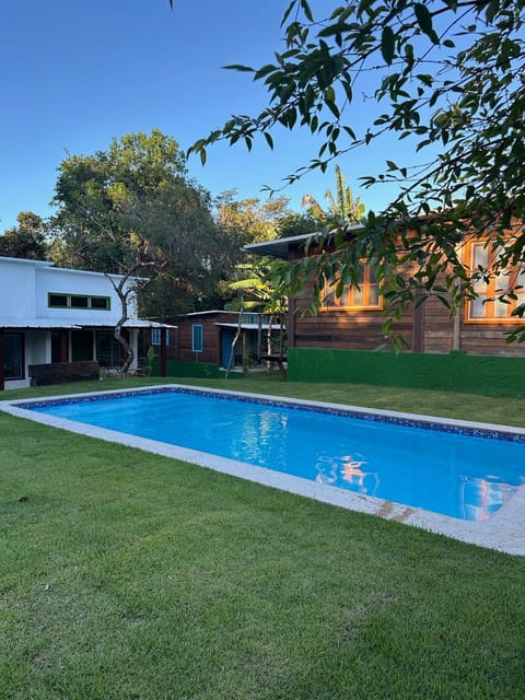 Natural landscape, Garden, Garden view, Swimming pool