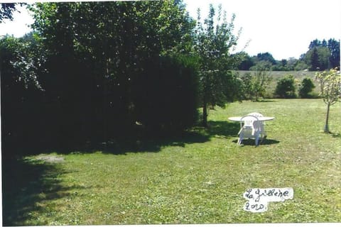 Natural landscape, Garden view