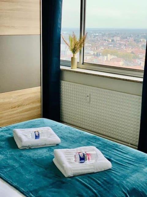 TOUR de l’europe, en plein centre avec parking. Apartment in Mulhouse