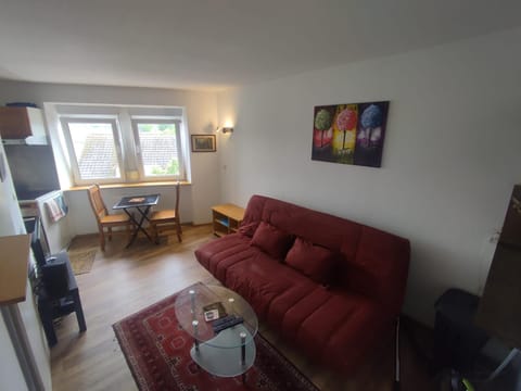 La cour des rois Apartment in Strasbourg