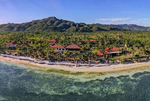 Day, Bird's eye view