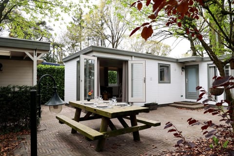 Property building, Day, Garden
