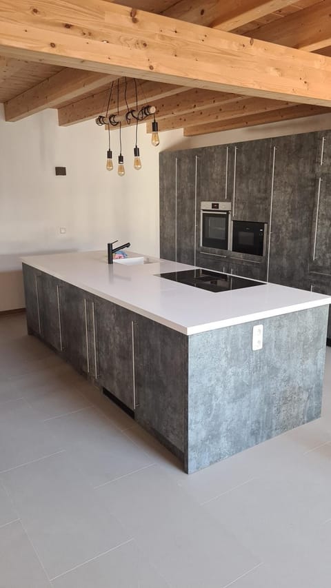 Kitchen or kitchenette, minibar, pet friendly, stove