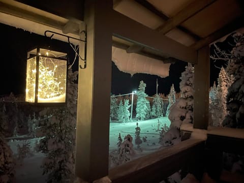 Winter, View (from property/room)